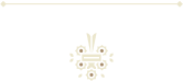 Bottom Decorative Glyph